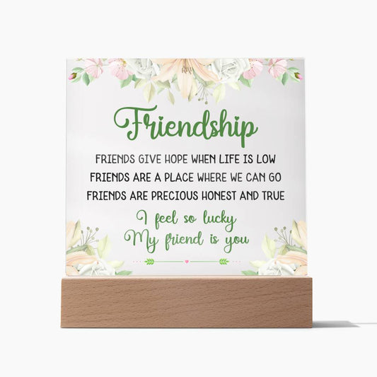 Friendship Acrylic Plaque